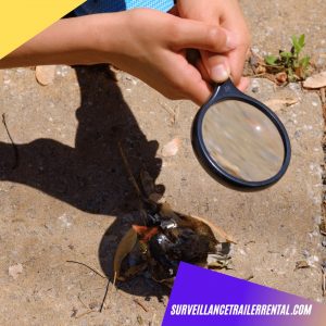 magnifying glass solar panel